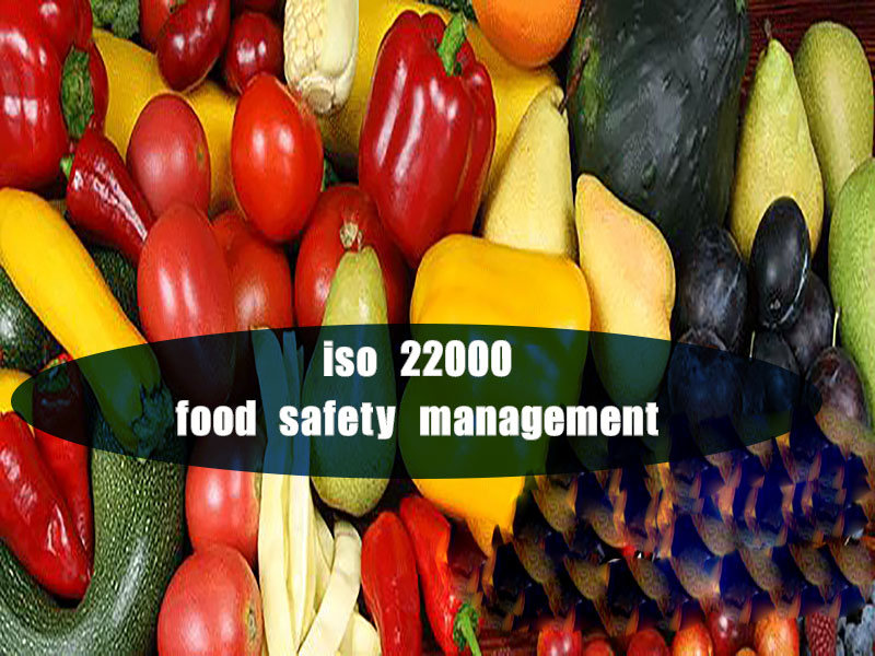 Food safety management ISO 22000