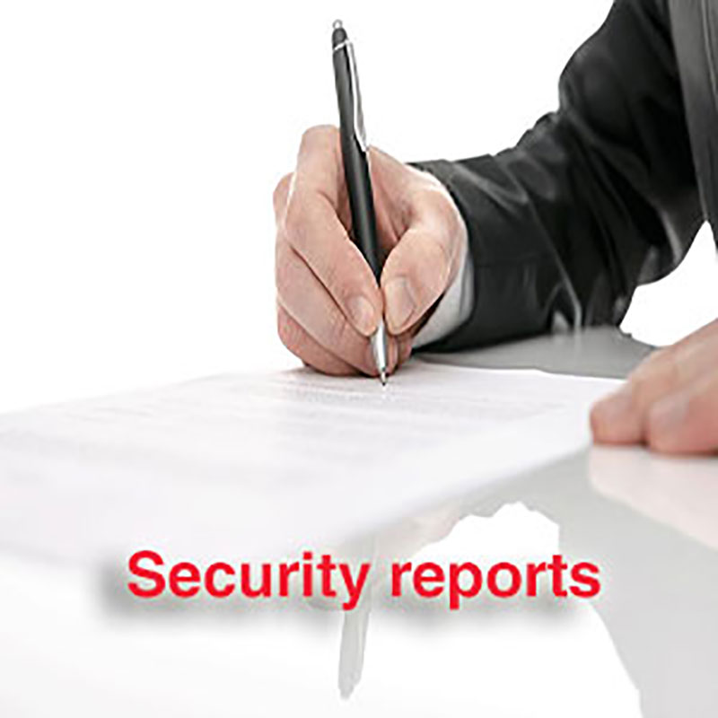 Advanced skills in writing security reports